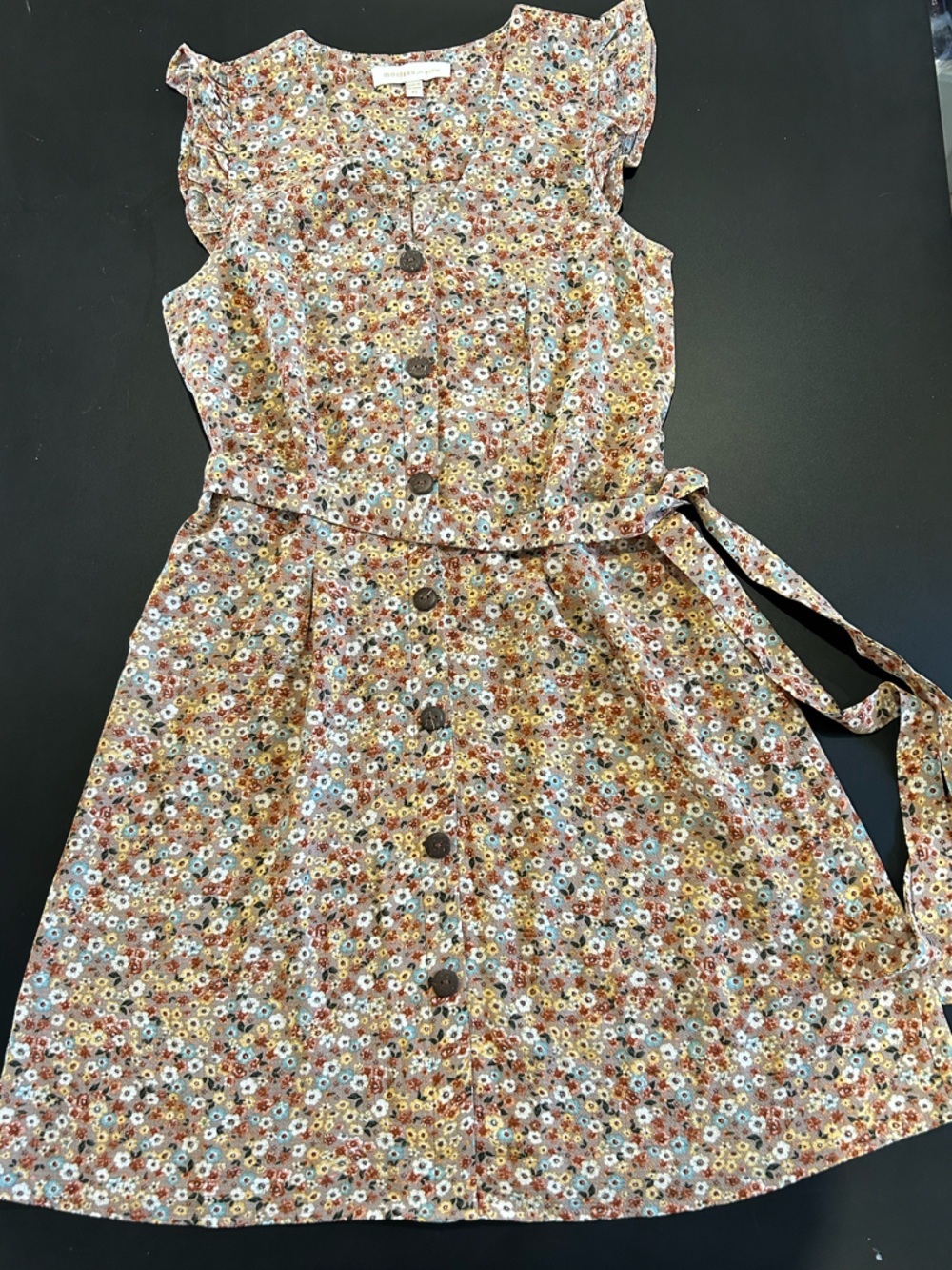 Monteau LA Floral Button-Front Dress in Rust, Cream, and Blue